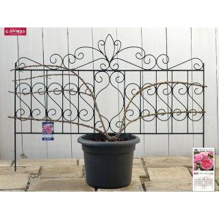 新品 デザイントレリス ガーデニング用品 デザイントレリス 885 4個セット : コメリドットコム - 通販