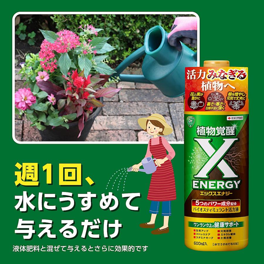 住友化学園芸 活力剤 エックスエナジー 600mL : コメリドットコム