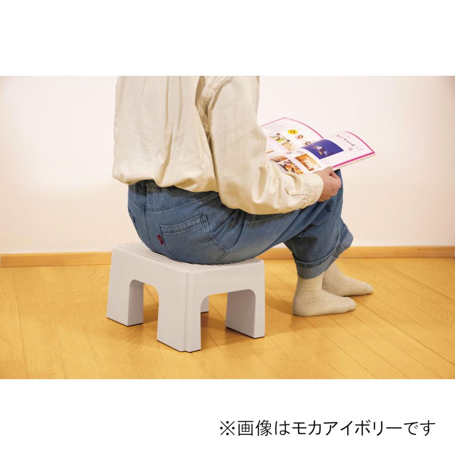 グリーンパル（GREEN PAL） ステップスツール マスタ―ドイエロー S 幅