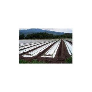 岩谷防虫シルバーマルチ 0．02×95×50 : コメリドットコム