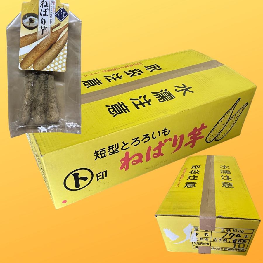 ねばり芋 種芋 170本 長芋 ながいも 粘り 山芋 佐藤政行種苗 販売 通販 家庭菜園 生産者 とろろ 健康（Yahoo!・株式会社米三）
