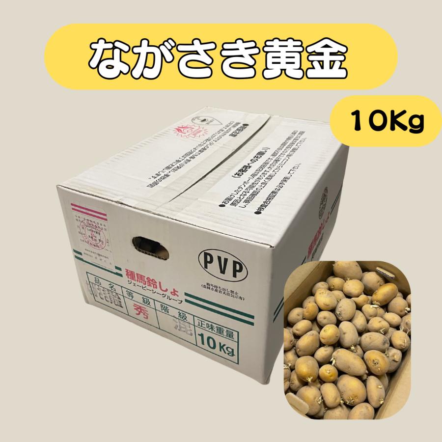 ながさき黄金 種芋 混玉 10kg じゃがいも 秋植え用 栽培用 家庭菜園