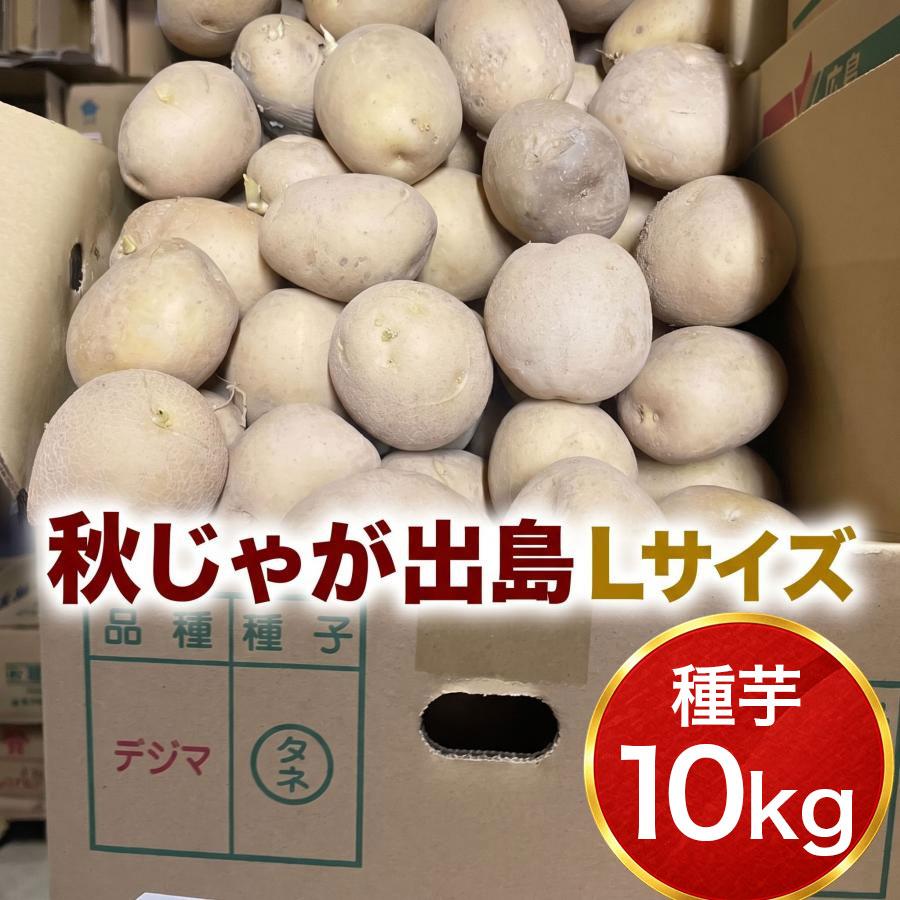 デジマ 出島 種芋 秋植え 10kg L玉 じゃがいも 栽培用 秋ジャガ 平日10