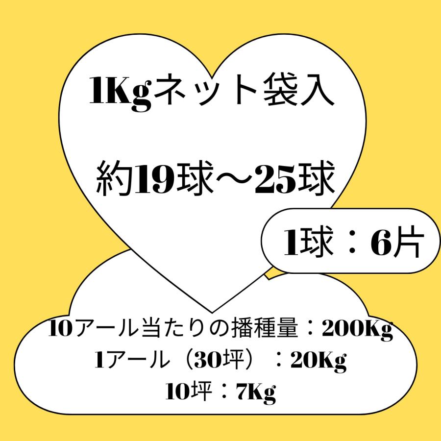 グアナラ3袋、オニキス2袋、カレボーホワイト1袋 3袋以上でクーポン割引 にんにく ホワイト六片 青森県産 1kg Mサイズ