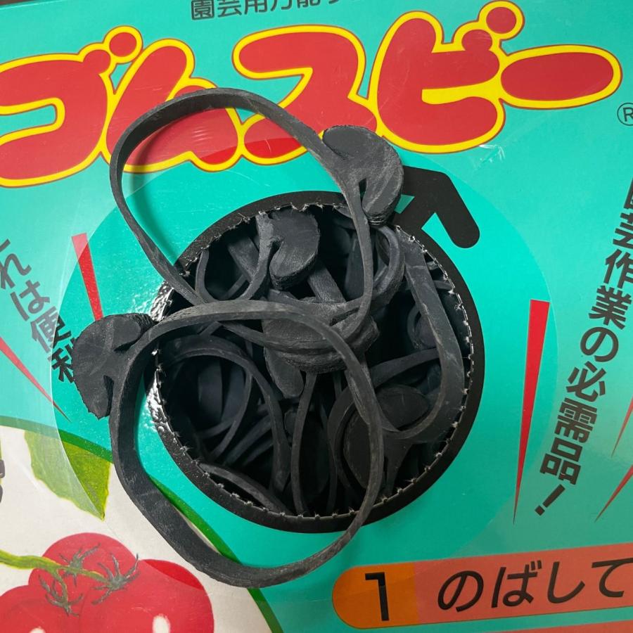 サカタのタネ ゴムスビー 500g 約250本 園芸用 結束ゴム 誘引バンド