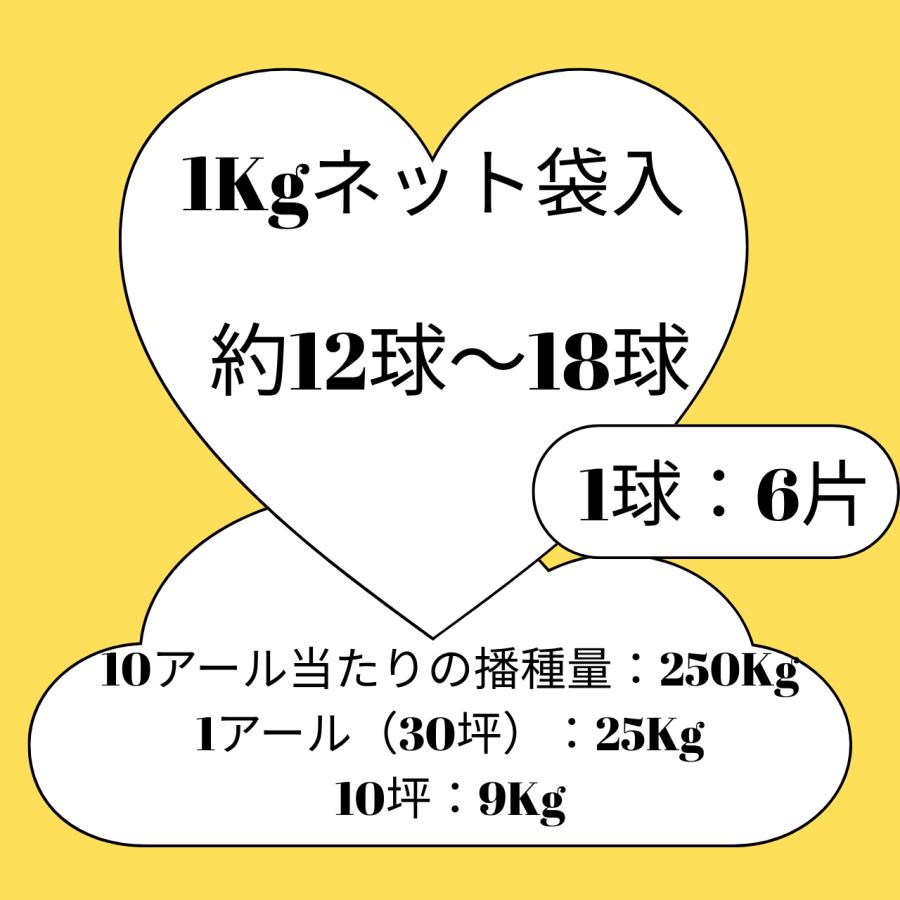 3袋以上でクーポン割引 1kg にんにく 栽培用 国産 ニンニク 青森県産
