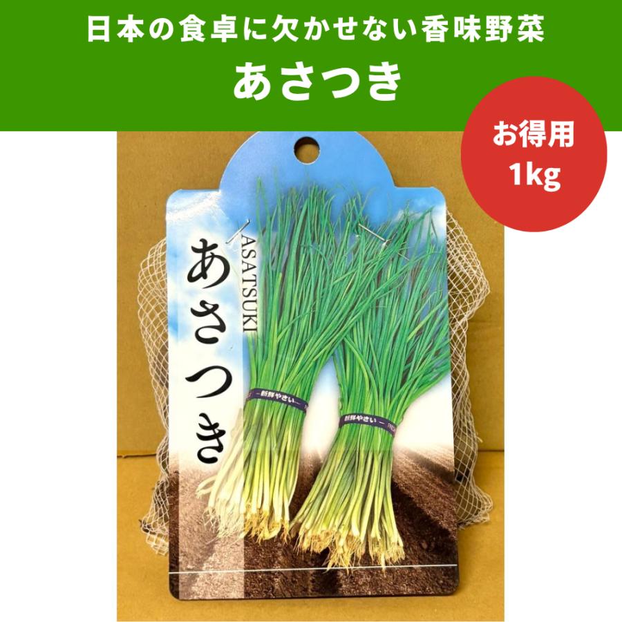 あさつき 種球 1Kg 香味野菜 野菜種 野菜 園芸 人気 栽培 種子 野菜の種 たね 美味しい おすすめ 家庭菜園 平日10時まで当日発送 送料無料 販売 通販 | 