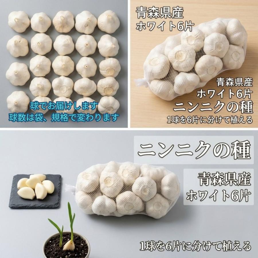にんにく ホワイト六片 青森県産 種 国産 ブランド Lサイズ 2個入り 栽培用 ニンニク 王様 来年収穫  球根 家庭菜園 おすすめ  大きい ３袋以上でクーポン割引 |  | 02