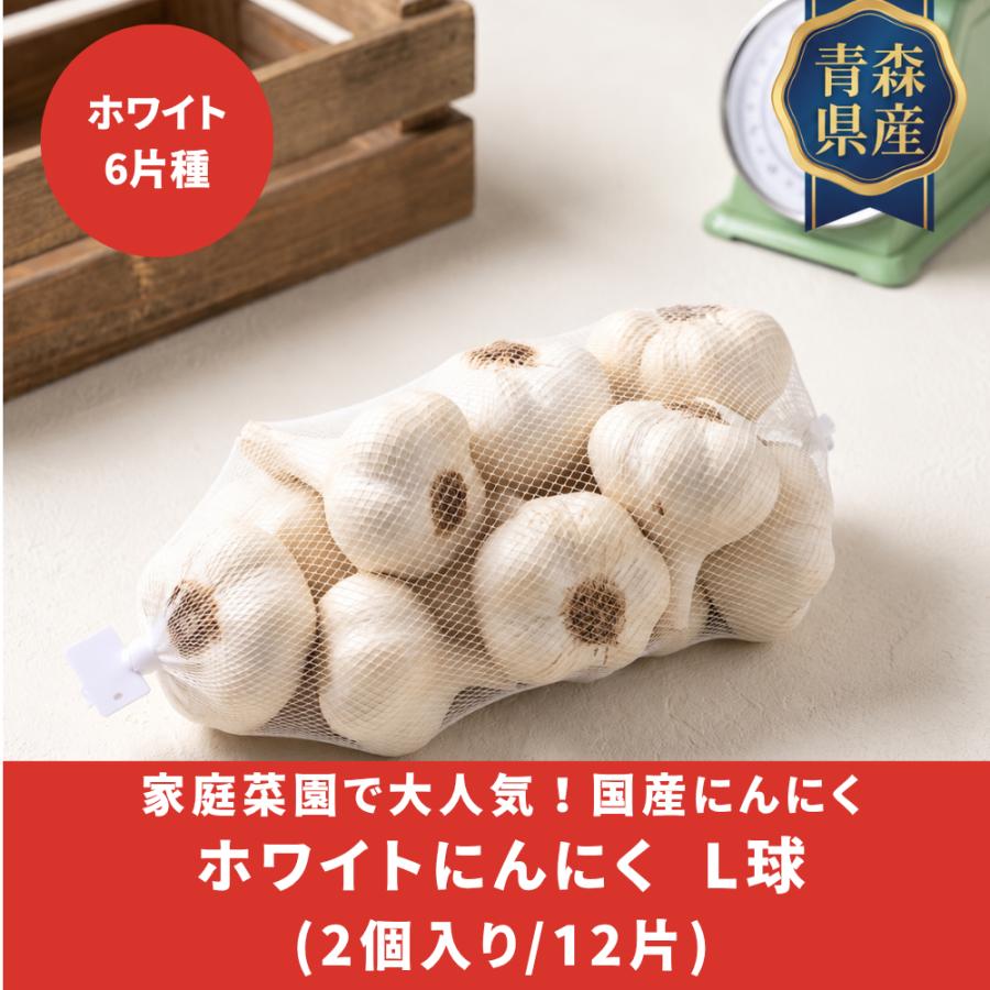 にんにく ホワイト六片 青森県産 種 国産 ブランド Lサイズ 2個入り 栽培用 ニンニク 王様 来年収穫  球根 家庭菜園 おすすめ  大きい ３袋以上でクーポン割引 |  | 01