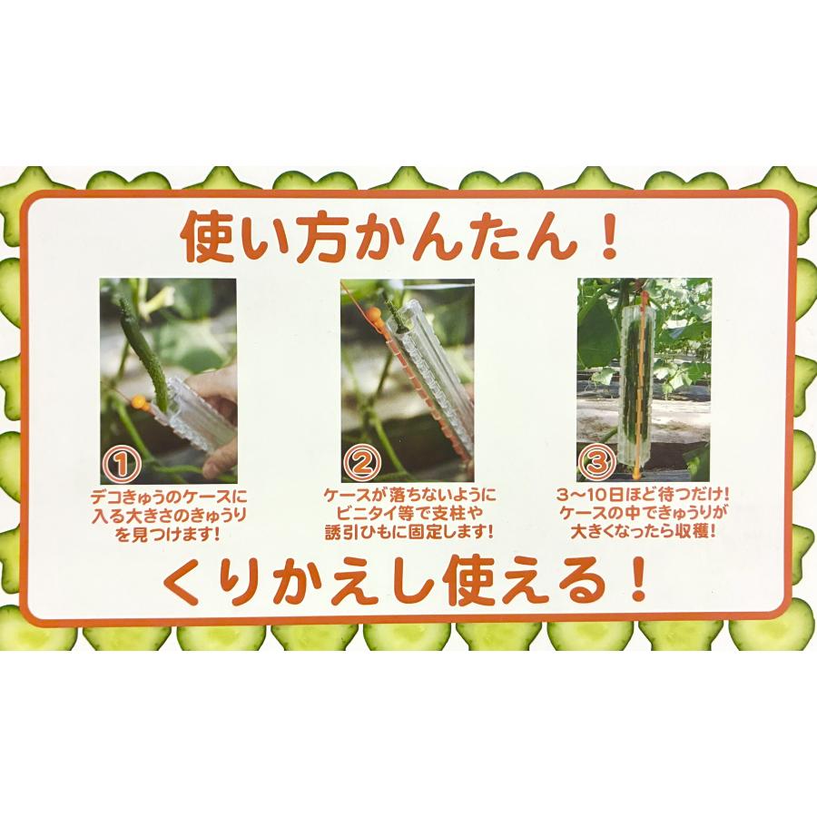 デコきゅう 星型 1本パック キュウリの型 型どりケース 家庭菜園