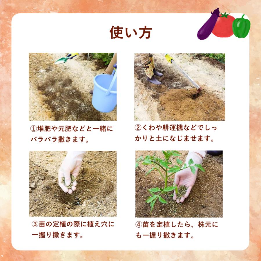 連作障害ブロックW 土壌改良剤 10kg 菌の黒汁 国産天然ゼオライト 善玉