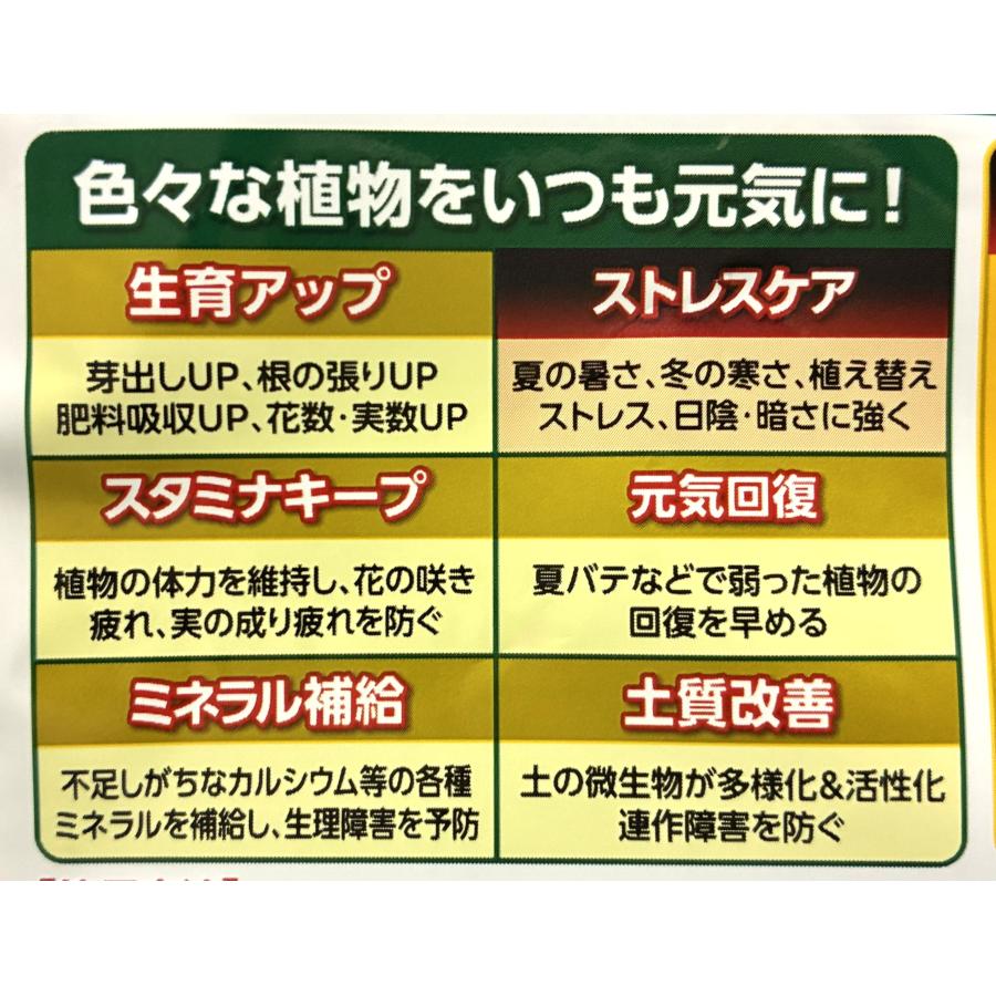 KINCHO園芸 エックスエナジー X-ENERGY ロング 700g 粒タイプ バイオ