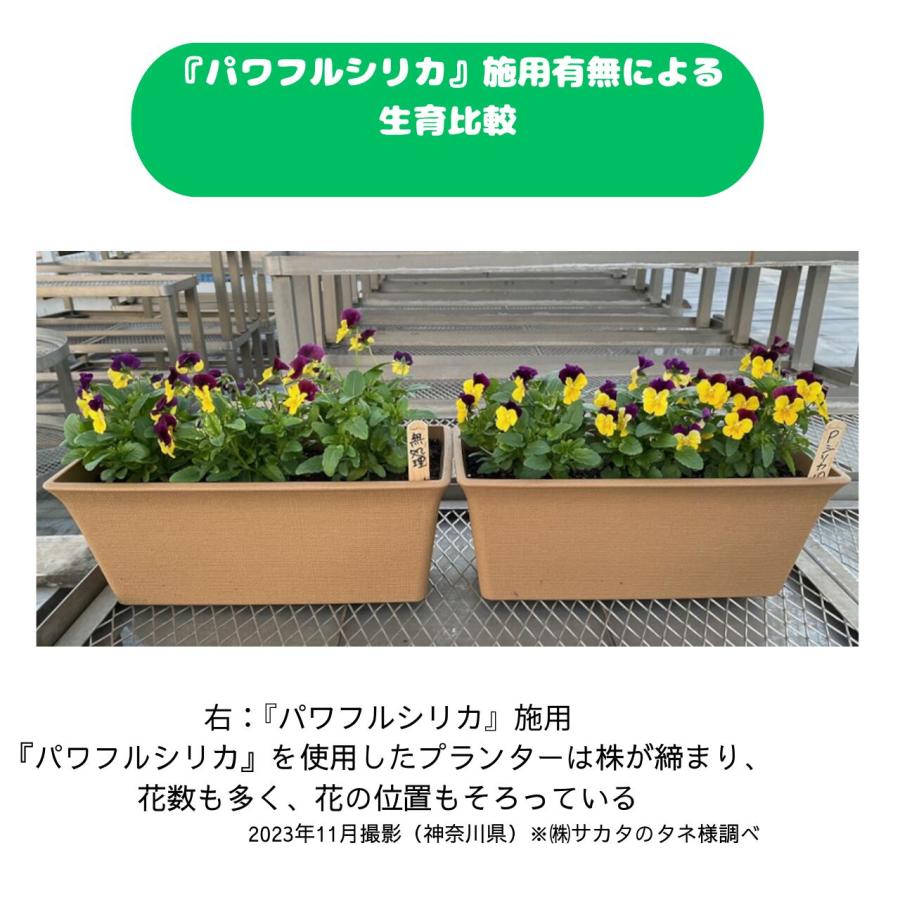 パワフルシリカ 1Kg 土壌改良材 サカタのタネ ダブルシリカ 有機腐植酸