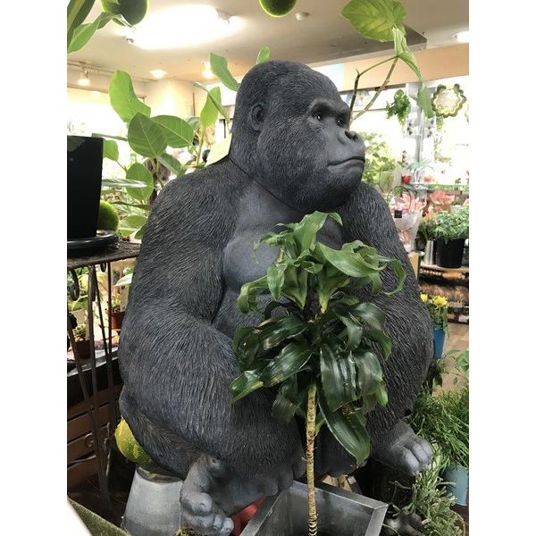 限定素材を使用 ゴリラ　置物　リアル　大きい 【QGW9319355750】(33150円)