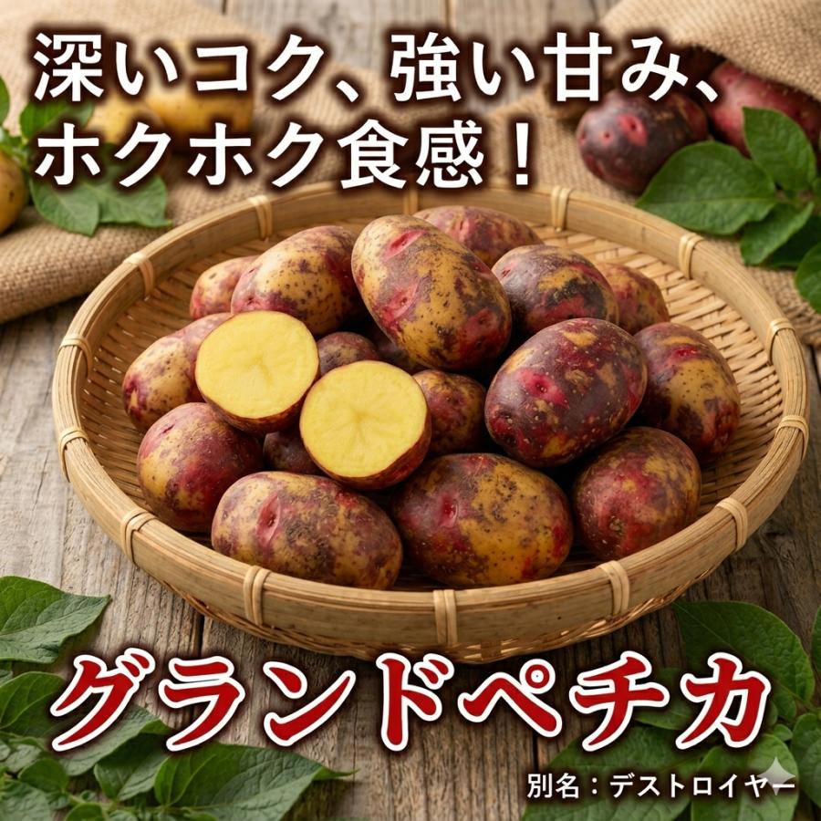 グランドペチカ 混玉 1kg じゃがいも 2026年春植え 種芋 デストロイヤー 希少品種 家庭菜園 ホクホク甘い 育てやすい 幻のジャガイモ 販売（Yahoo!・株式会社米三）