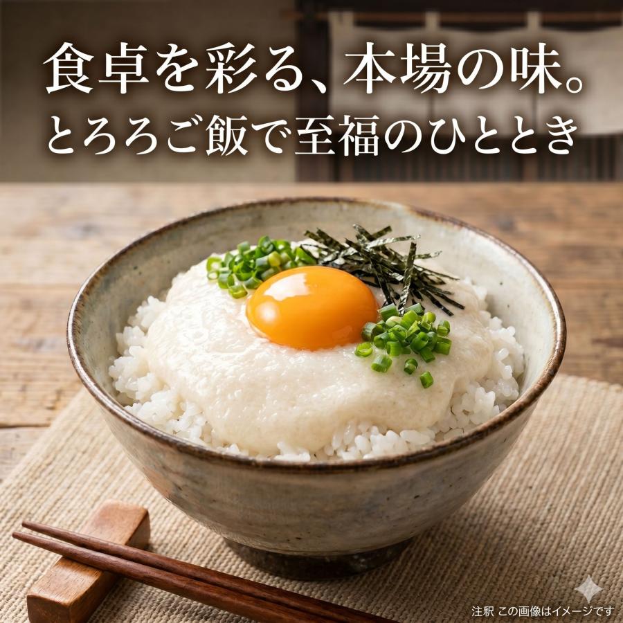 新丹丸 種芋 5片 つくね芋 ヤマノイモ 丹波 山芋 種 タネ いも 販売