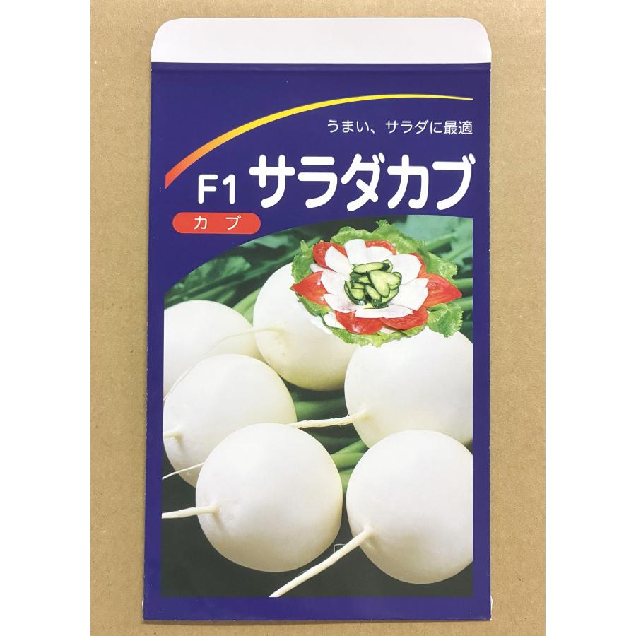 3袋以上でクーポン割引 サラダかぶ 種 2ml 蕪 カブ 送料無料