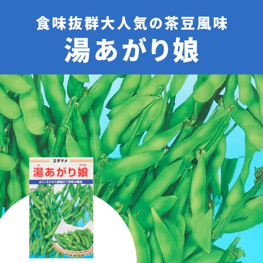 3袋以上でクーポン割引 湯上がり娘 2000粒 枝豆 えだまめ エダマメ え