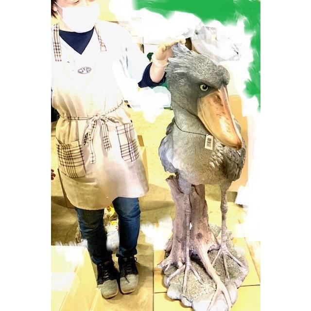 完動品 ハシビロコウ　置物　大きい　リアル 【PET2226411249】(79196円)