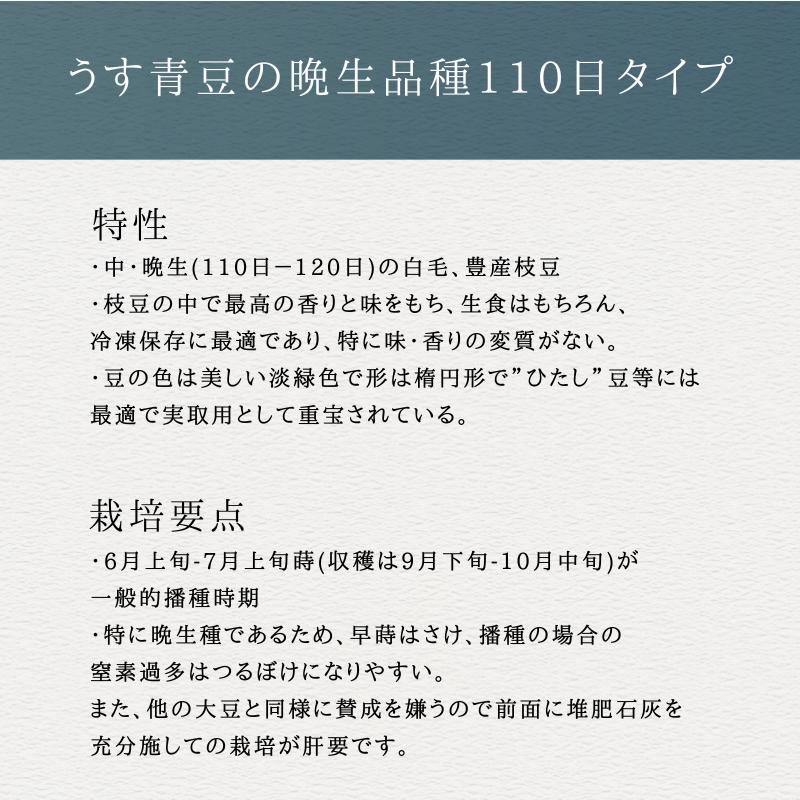 3袋以上でクーポン割引 さかな豆 枝豆 種 1dL えだまめ エダマメ 長岡