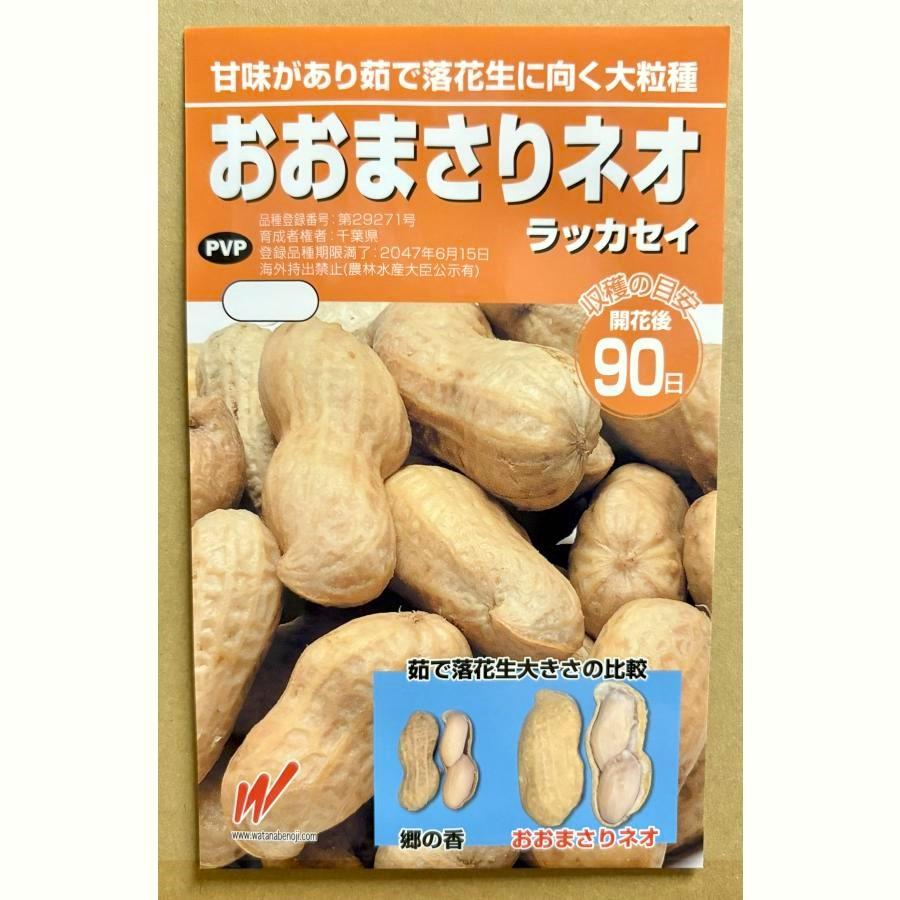 落花生 種 おおまさりネオ 1L 3袋以上でクーポン割引 おおまさりネオ 種 1dL 落花生 らっかせい
