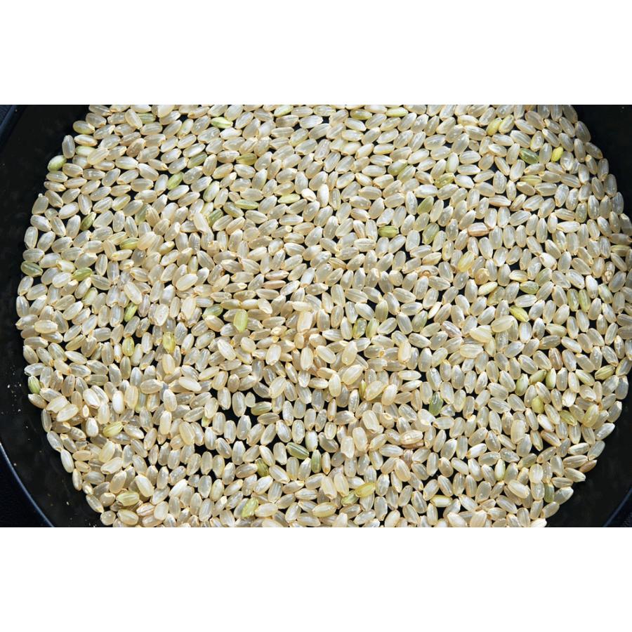 【７年産】玄米　20kg　環境こだわり米　滋賀朽木　こしひかり_2