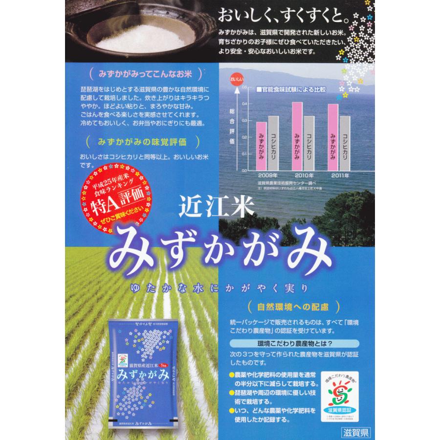 令和6年産 滋賀県産　みずかがみ　環境こだわり米　玄米10kg 新米】玄米 10kg 環境こだわり米 滋賀 みずかがみ : 米せん - 通販
