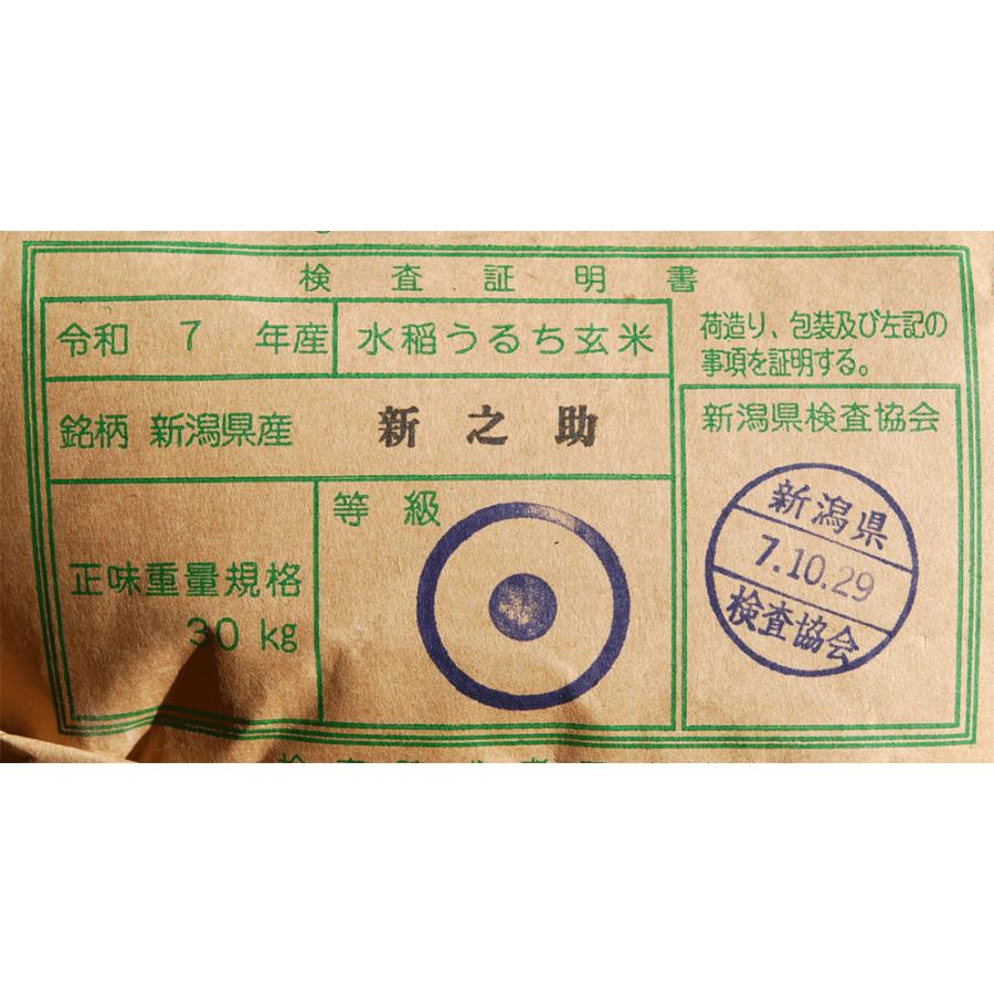 新之助（しんのすけ） 【7年産】玄米 20kg(5kg×4袋) 新潟 : 米せん