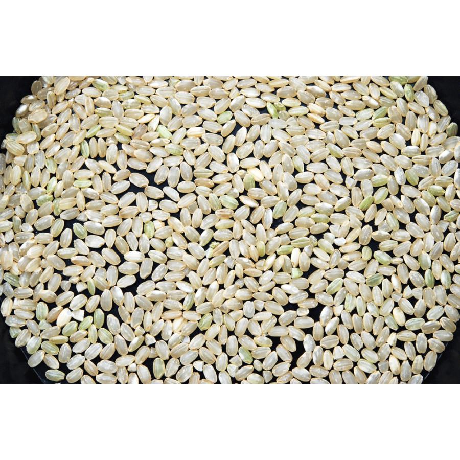 新米】玄米 5kg 特別栽培米 岐阜飛騨 銀の朏（みかづき) : 米せん