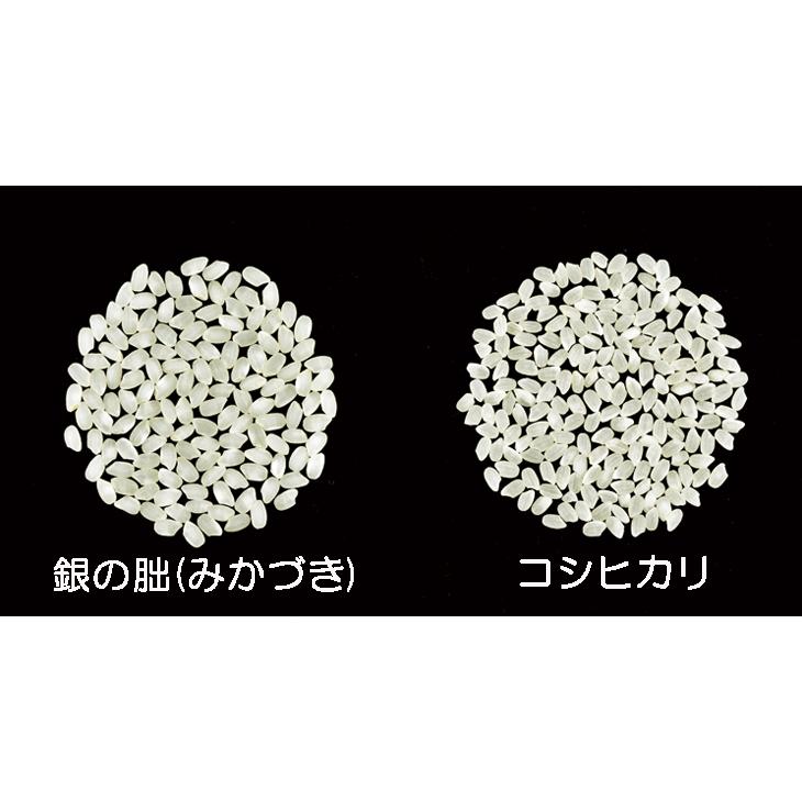 7年産】玄米 5kg 特別栽培米 岐阜飛騨 銀の朏（みかづき) : 米せん