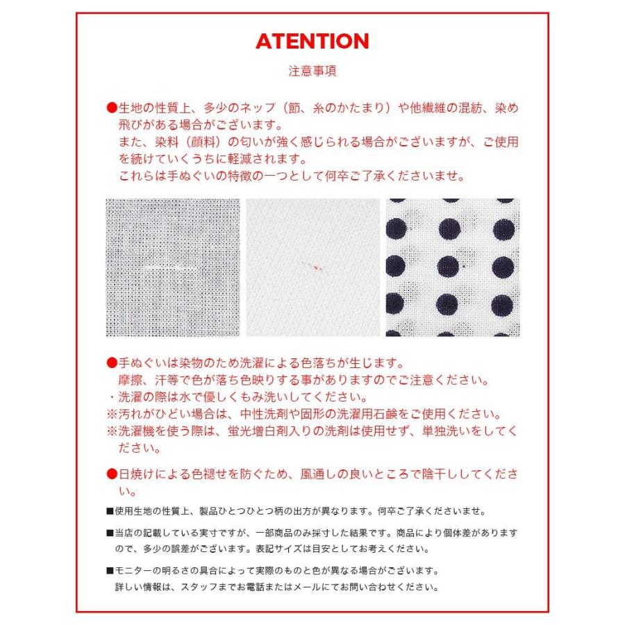 IRODORI 手ぬぐい 3枚セット 日本Aセット 日本製 手拭い 剣道 和