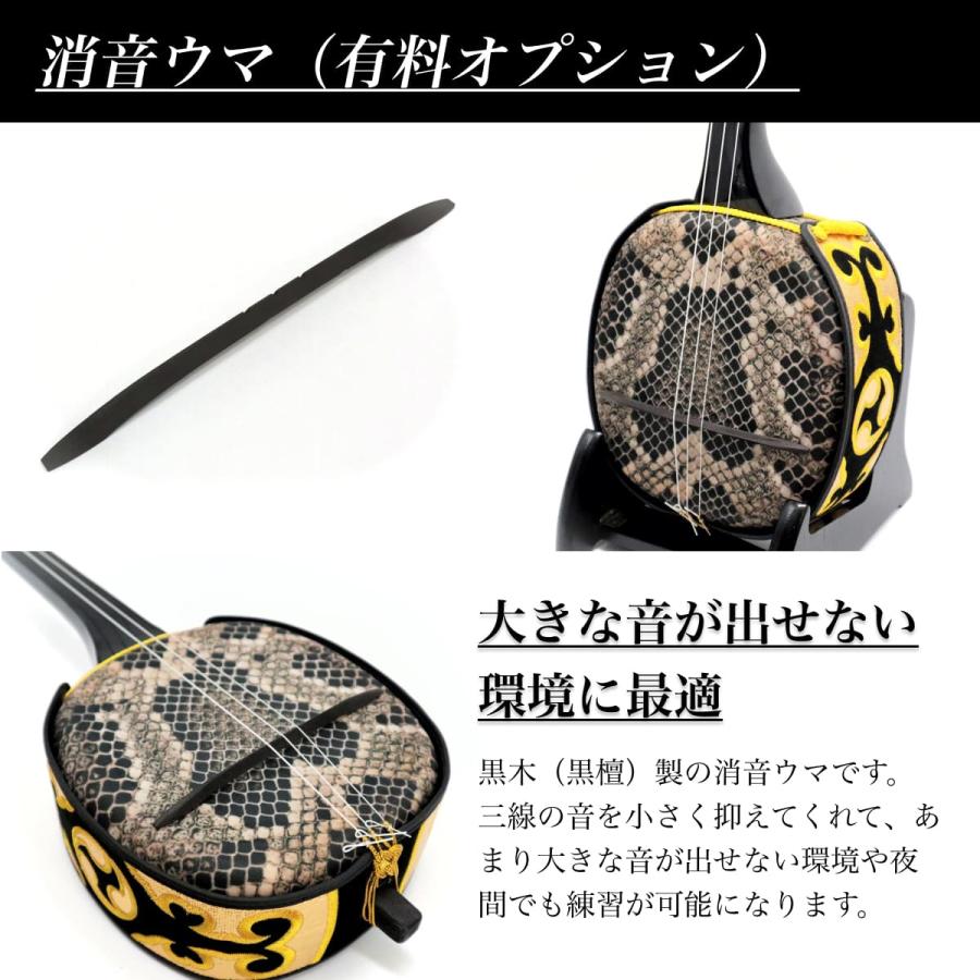 三線 沖縄三線 真壁型 黒塗り【ツヤ消し】人工皮初心者