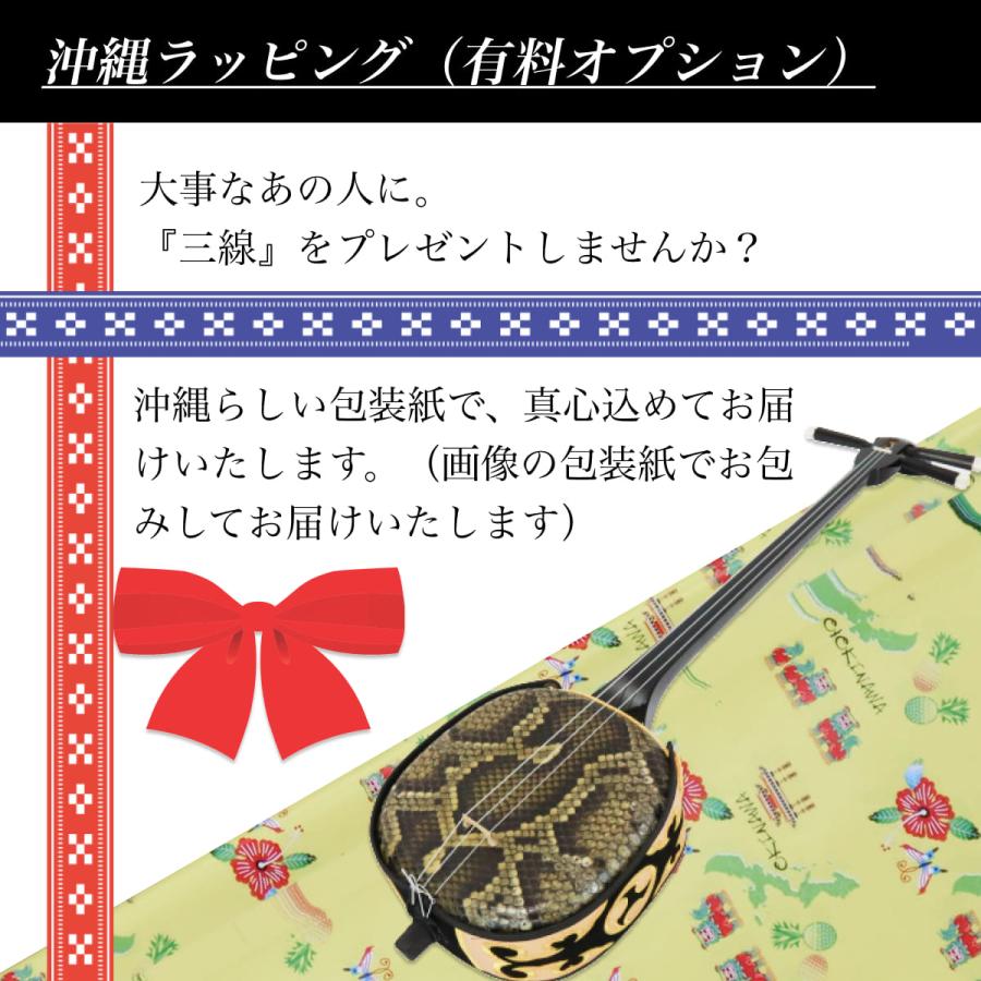 三線 沖縄三線 初心者用デザイン三線スタンダードセット カスタマイズ