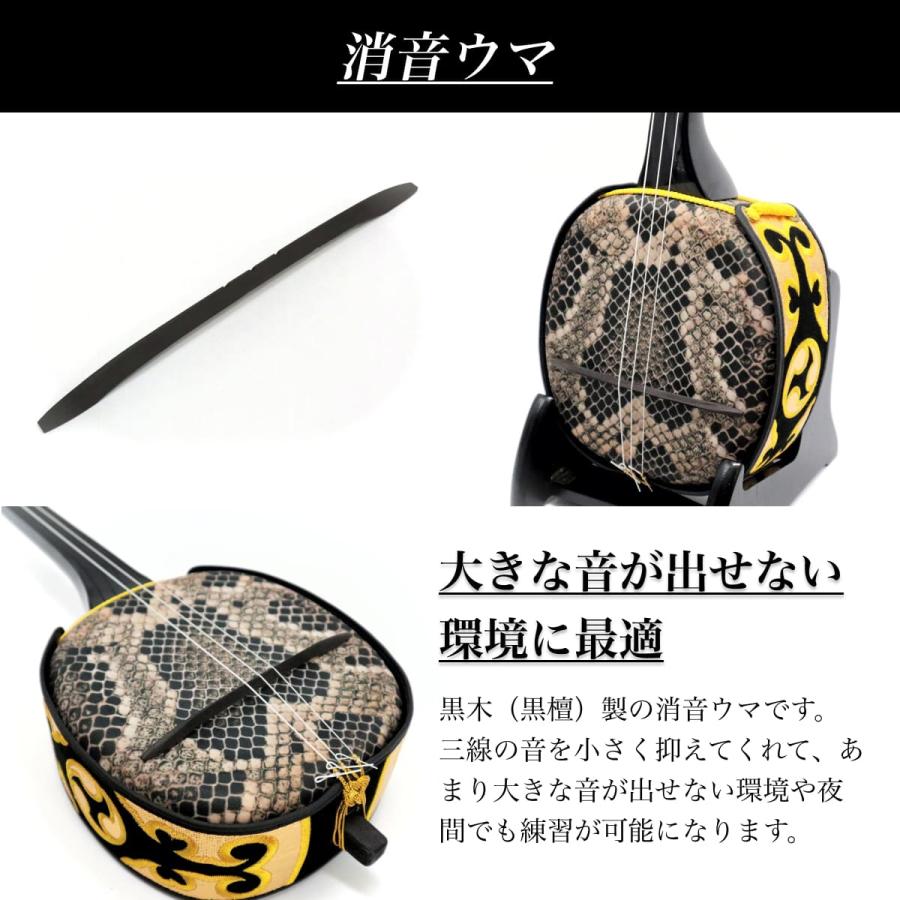 三線 沖縄三線セット 初心者用『究極』デザイン三線コンプリートフル