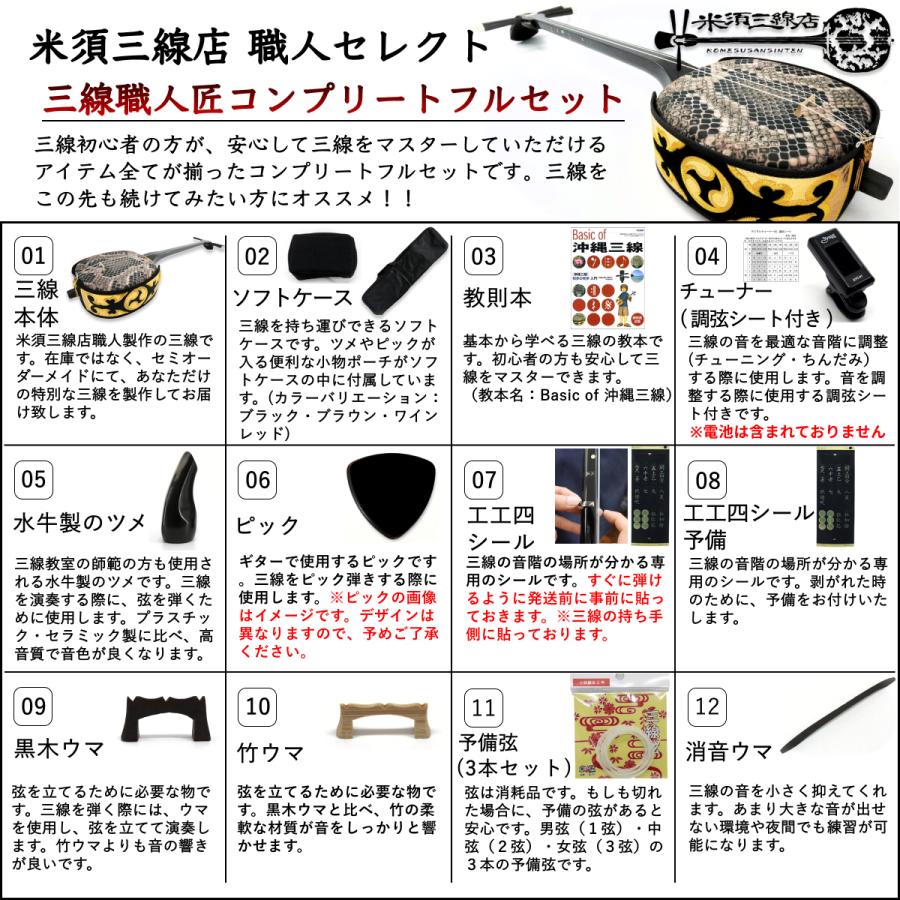 三線 沖縄三線セット 初心者用『究極』デザイン三線コンプリートフル
