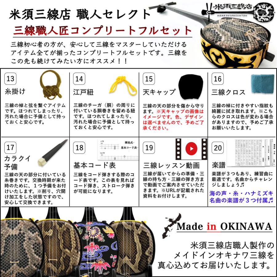 三線 沖縄三線セット 初心者用『究極』デザイン三線コンプリートフル