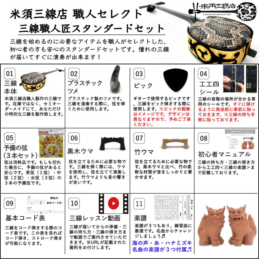 三線 ペグカラクイ三線 真壁型 黒塗り 本張り 初心者用スタンダード