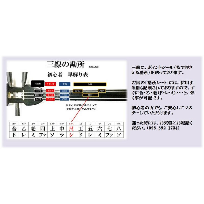 三線 ペグカラクイ三線 真壁型 黒塗り 本張り 初心者用スタンダードセット【カスタマイズオプション付き】安心の5年保証+買取・下取り保証 カラクイの悩み不要_9
