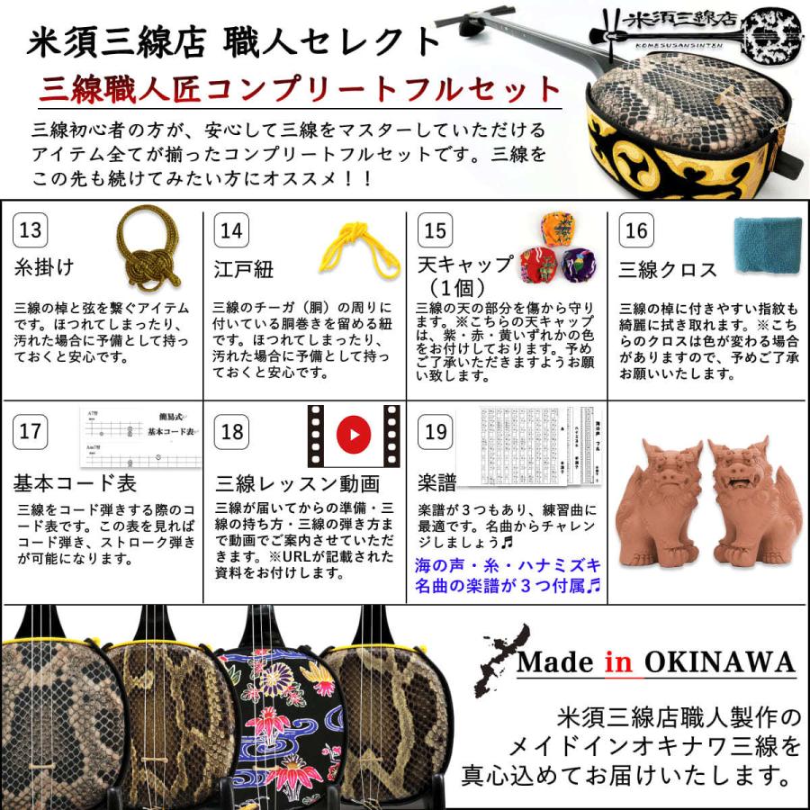 三線 ペグカラクイ三線 エレキ仕様 集音マイク内蔵 真壁型 黒塗り 人工皮 初心者用26点フルセット 安心の5年保証 買取 下取り保証 カラクイの悩み不要 三線職人の専門店 米須三線店 通販 Yahoo ショッピング