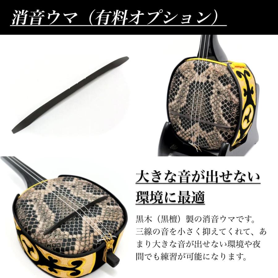 三線 沖縄三線 初心者向けスタンダードセット 無料カスタマイズオプション付き 海の声 糸 ハナミズキ 楽譜付き 三線職人の専門店 米須三線店 通販 Yahoo ショッピング