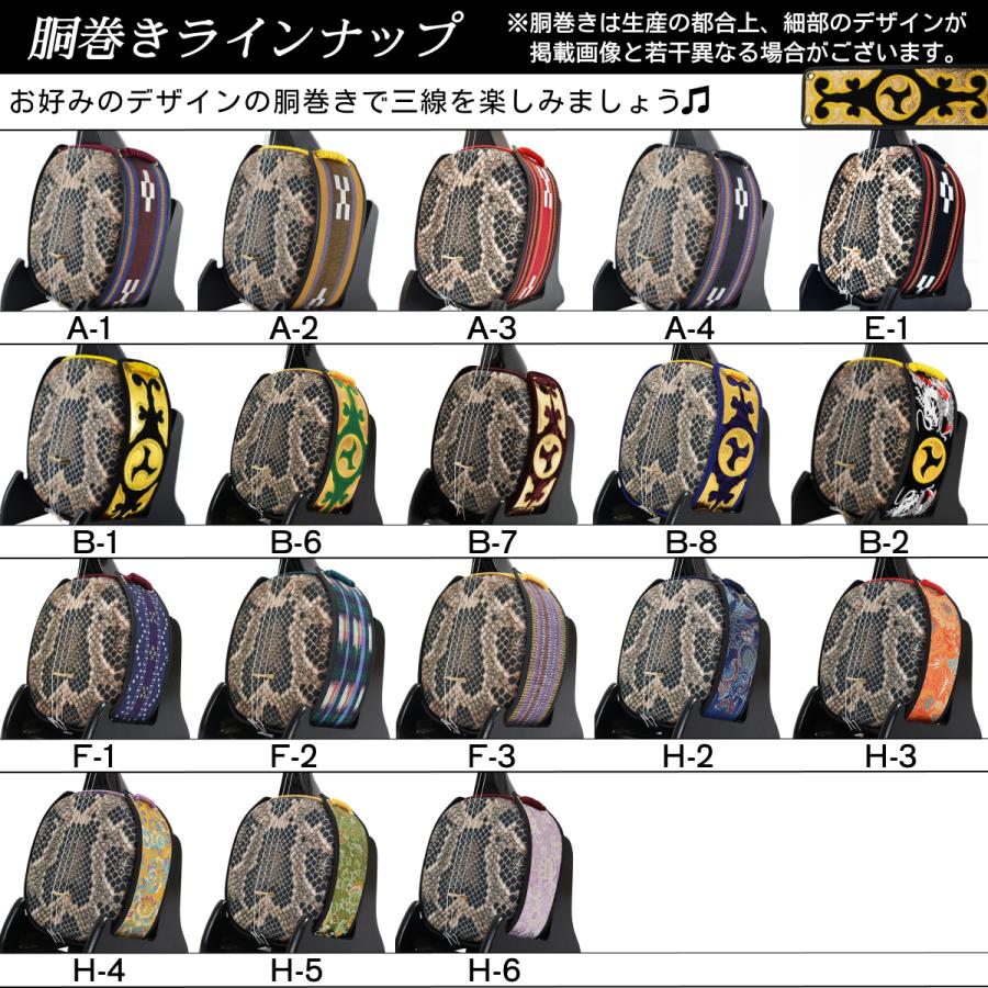 沖縄三線 初心者用スタンダードセット カスタマイズオプション付【海の