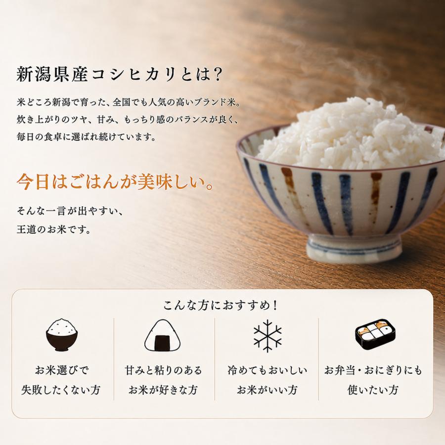 令和7年産 新潟県産 コシヒカリ 10kg （5kg×2個）お米 送料無料 白米