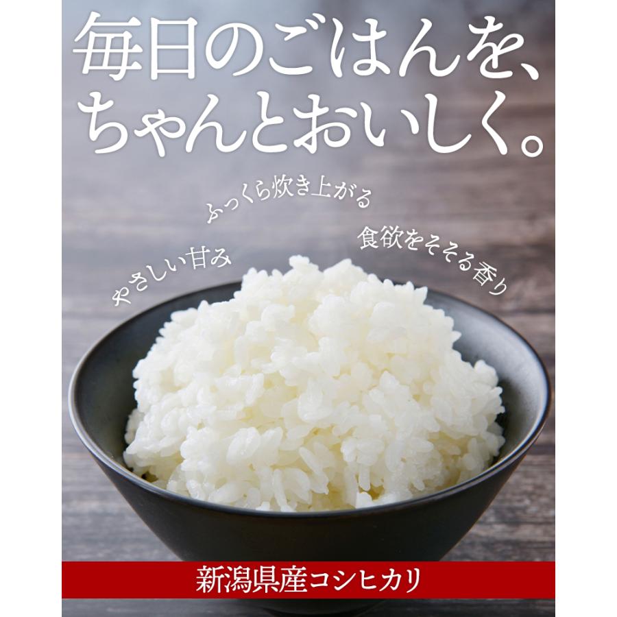 在庫限り】令和6年産 新潟県産 コシヒカリ 10kg （5kg×2個）お米 送料