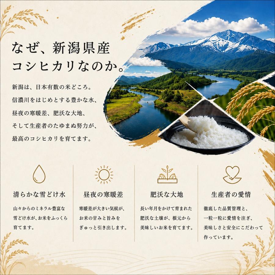 令和7年産 新潟県産 コシヒカリ 10kg （5kg×2個）お米 送料無料 白米