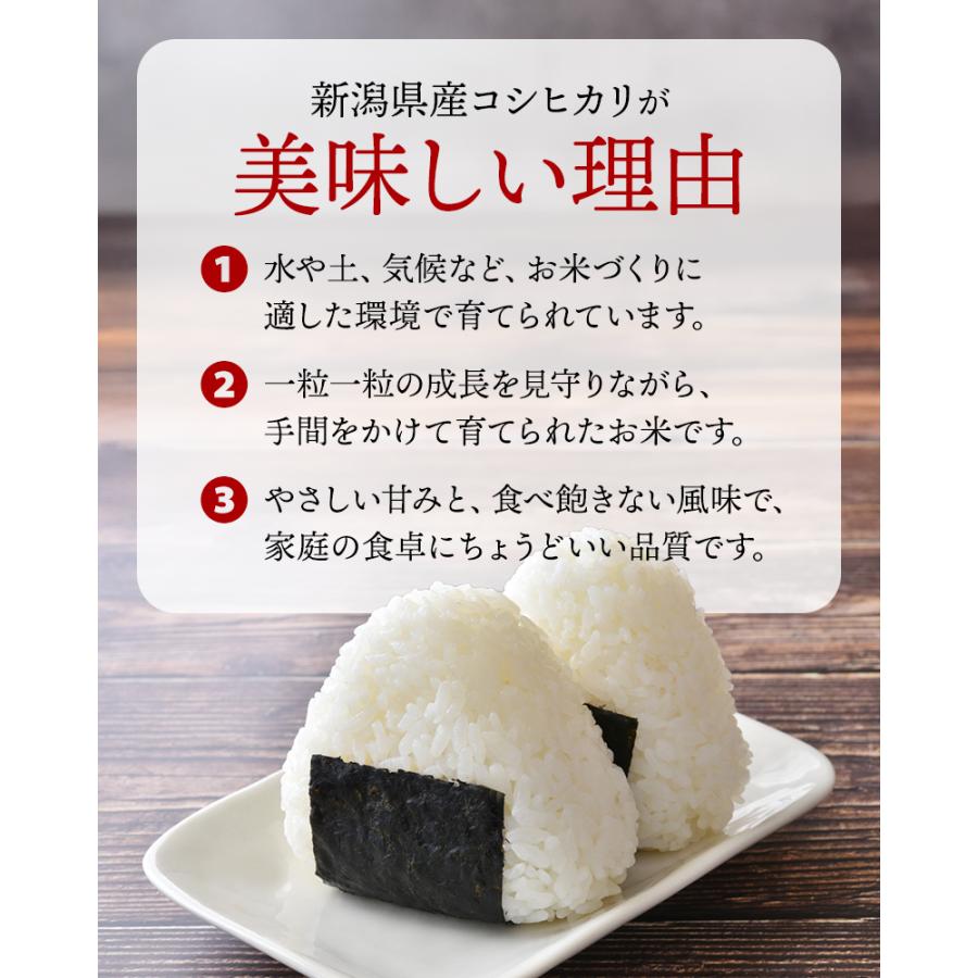 期間限定SALE 7,280→6,980円】令和7年産 新潟県産 コシヒカリ 10kg