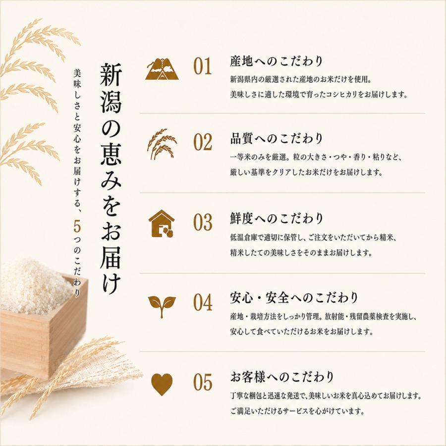 令和7年産 新潟県産 コシヒカリ 10kg （5kg×2個）お米 送料無料 白米
