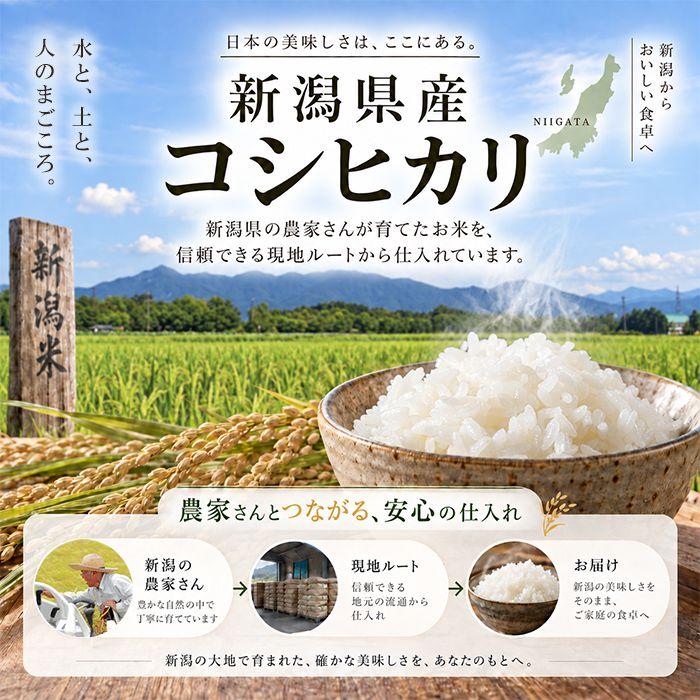 令和8年産 新米】 新潟県産 コシヒカリ 10kg （5kg×2個）お米 送料無料