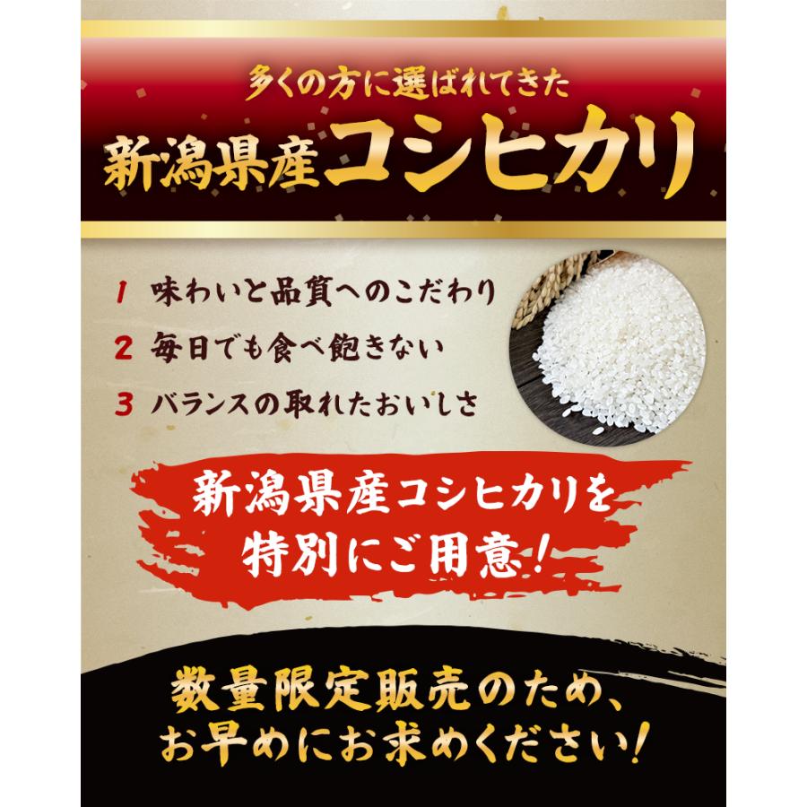 在庫限り】令和6年産 新潟県産 コシヒカリ 10kg （5kg×2個）お米 送料
