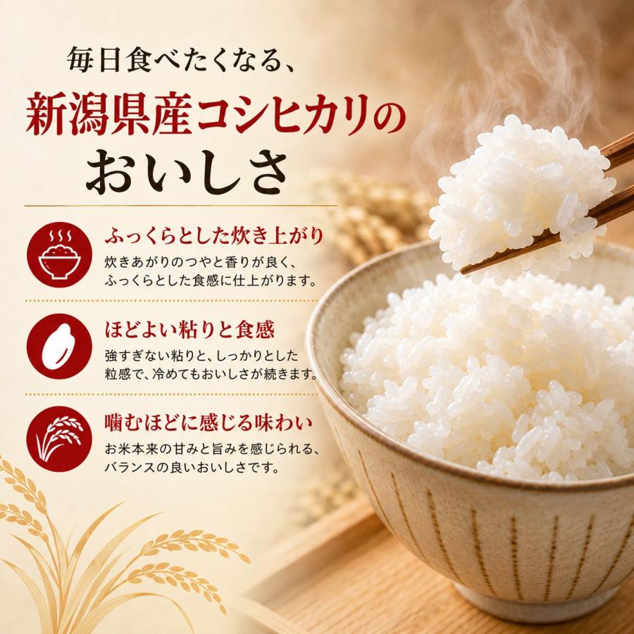令和8年産 新米】 新潟県産 コシヒカリ 10kg （5kg×2個）お米 送料無料