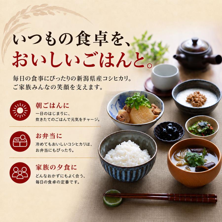 令和8年産 新米】 新潟県産 コシヒカリ 10kg （5kg×2個）お米 送料無料